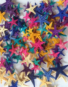 Estrellas de mar de...