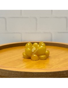 Molde de suculenta 2