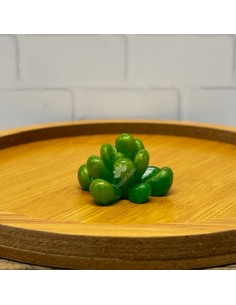 Molde de suculenta 3