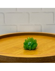 Molde de suculenta 5