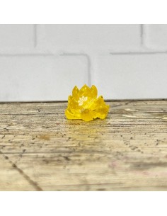 Molde de suculenta 7