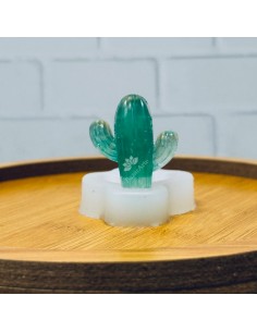 Molde de cactus