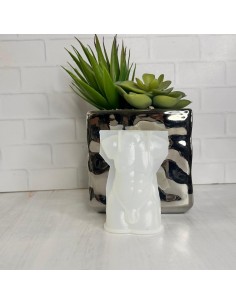 Molde dorso masculino 2