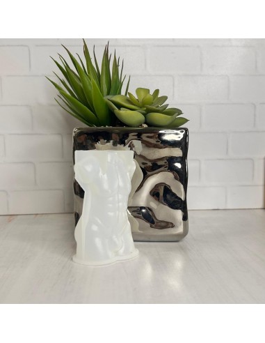 Molde dorso masculino 2